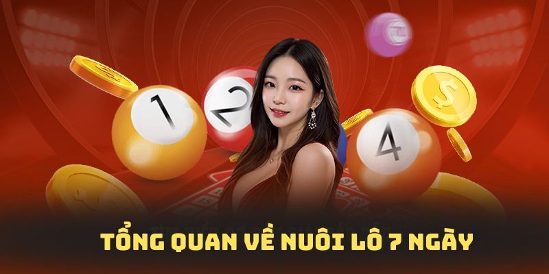 Tổng quan sơ lược chung về nuôi lô bảy ngày